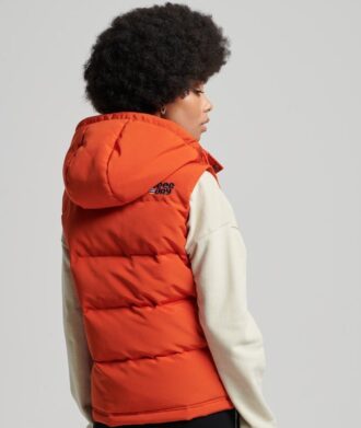 Gilet à capuche Everest Vintage
