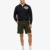 Heavy Cargo Shorts en Organic Cotton épais Heavy Cargo Shorts en Organic Cotton épais