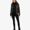 Hooded Arctic SD-Windcheater Jacket Hooded Arctic SD-Windcheater Jacket