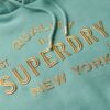 Hooded Metallic Logo Robe