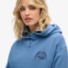 Sweat à capuche Athletic Essentials