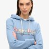 Sweat à capuche avec logo arc-en-ciel