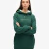 Sweat à capuche avec logo métallisé de luxe Sweat à capuche avec logo métallisé de luxe