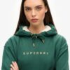 Sweat à capuche avec logo métallisé de luxe Sweat à capuche avec logo métallisé de luxe