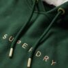 Sweat à capuche avec logo métallisé de luxe Sweat à capuche avec logo métallisé de luxe