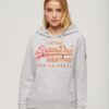Sweat à capuche avec logo Vintage ton sur ton