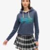 Sweat à capuche avec logo Vintage ton sur ton Sweat à capuche avec logo Vintage ton sur ton