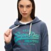 Sweat à capuche avec logo Vintage ton sur ton Sweat à capuche avec logo Vintage ton sur ton