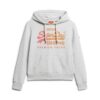 Sweat à capuche avec logo Vintage ton sur ton