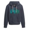 Sweat à capuche avec logo Vintage ton sur ton Sweat à capuche avec logo Vintage ton sur ton