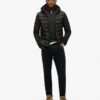 Veste softshell Storm Hooded Veste softshell Storm Hooded